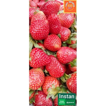 

stroberi presh segar per pack 250gram