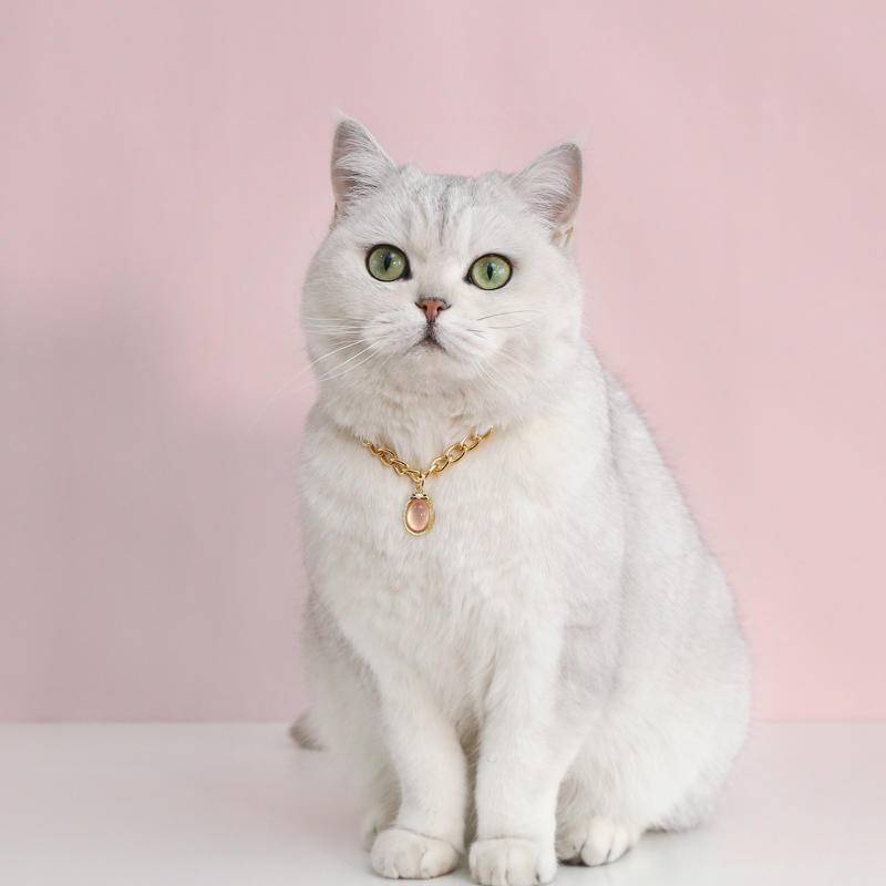 Warna-warni Mewah opal Puppy Cat Kalung Collar Kerah Rantai Adjustable Dengan Pita Berlian Imitasi Studded Liontin Untuk Kucing Anjing Kecil