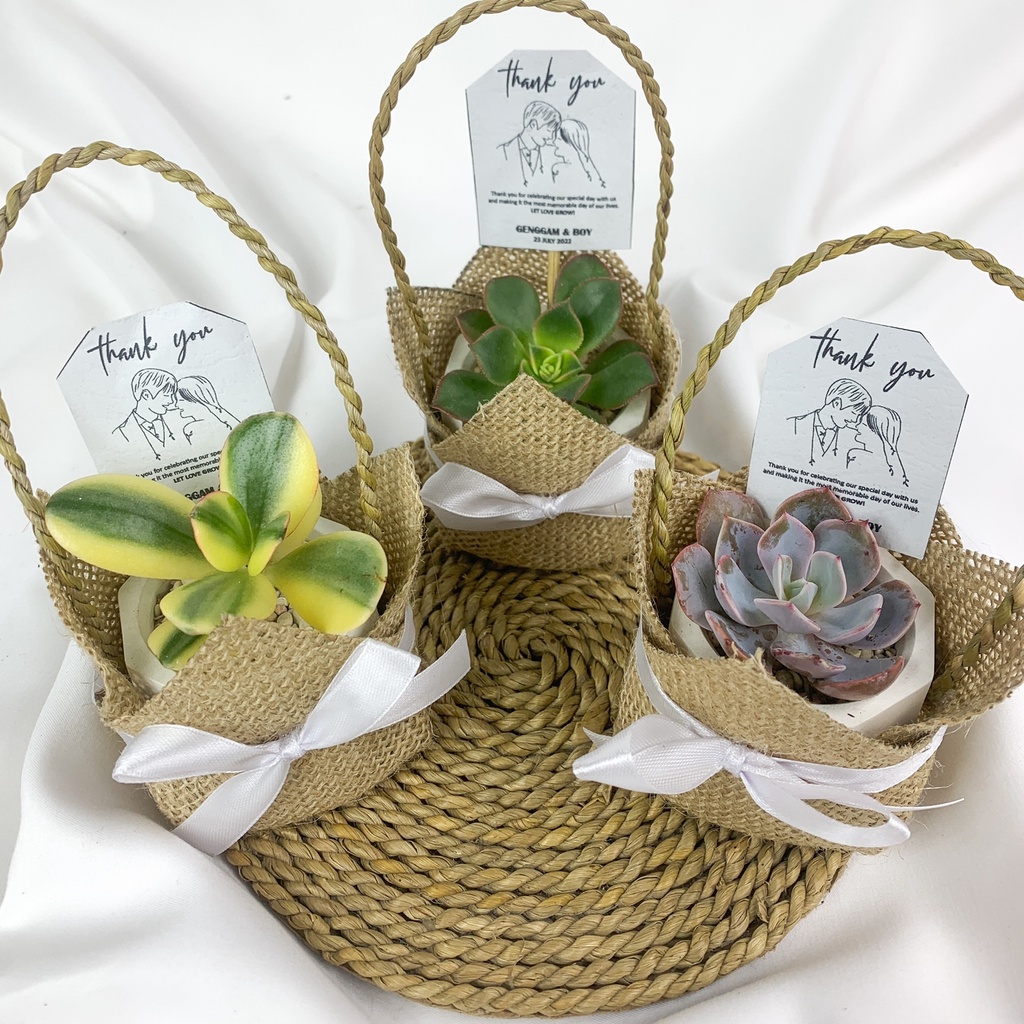 [HANYA PACKAGINGNYA] BURLAP POT HEXAGON UNTUK Souvenir Kaktus &amp; Sukulen Hias Mini 5cm