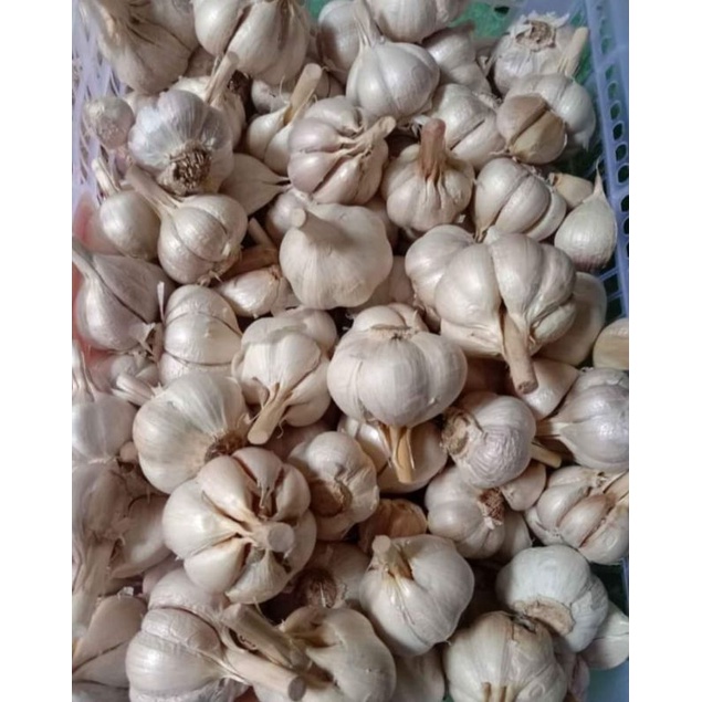 

bawang putih katin 1kg