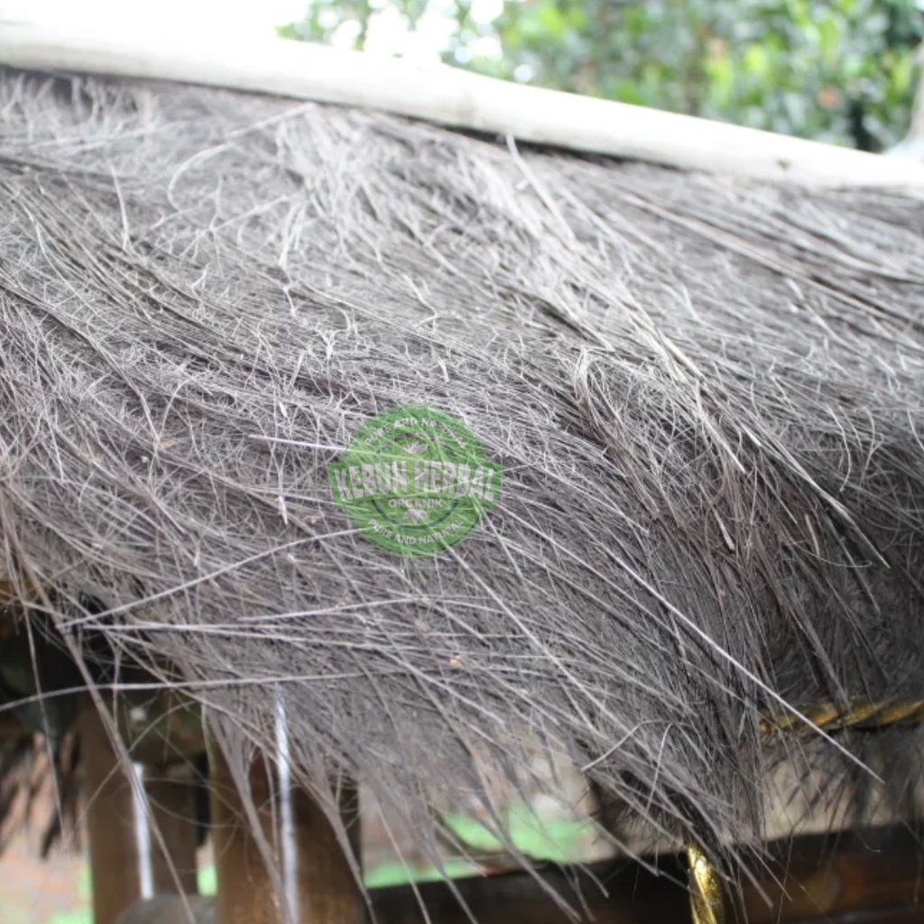 Ijuk Aren Kakaban - Ijuk berharupat/berduri - untuk menempelnya telur ikan - bahan atap villa , gaze