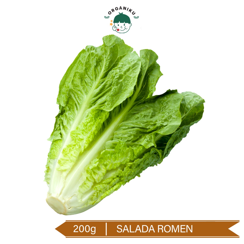 Salada Romen Organik 200g / Selada Cos / Organic Romaine Lettuce 200g