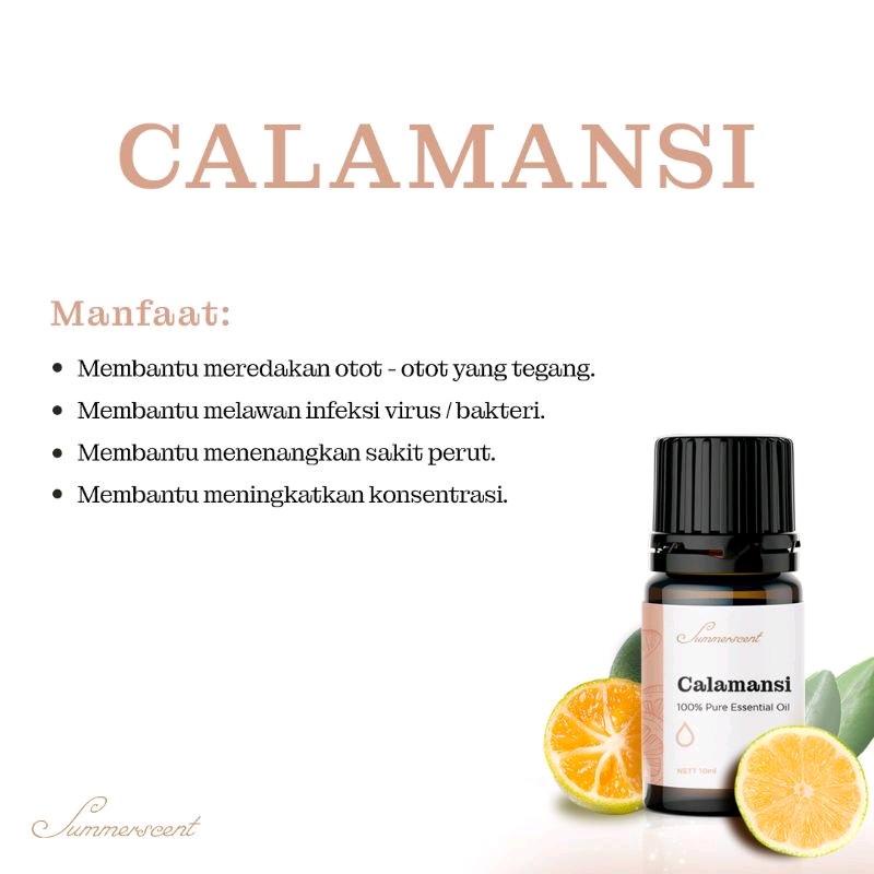 BELI 3 GRATIS 1 HUMIDIFIER ESSENSIAL OIL AROMATHERAPY 10ML (WARNA HUMIDIFIER RANDOM)