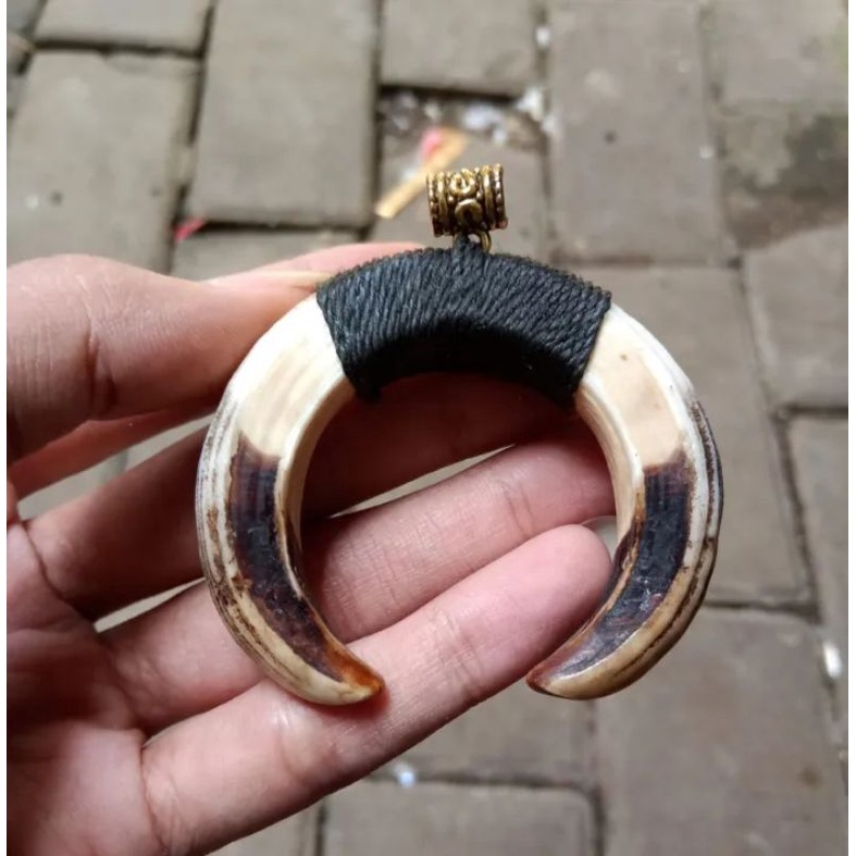 kalung etnik taring babi asli Sepasang