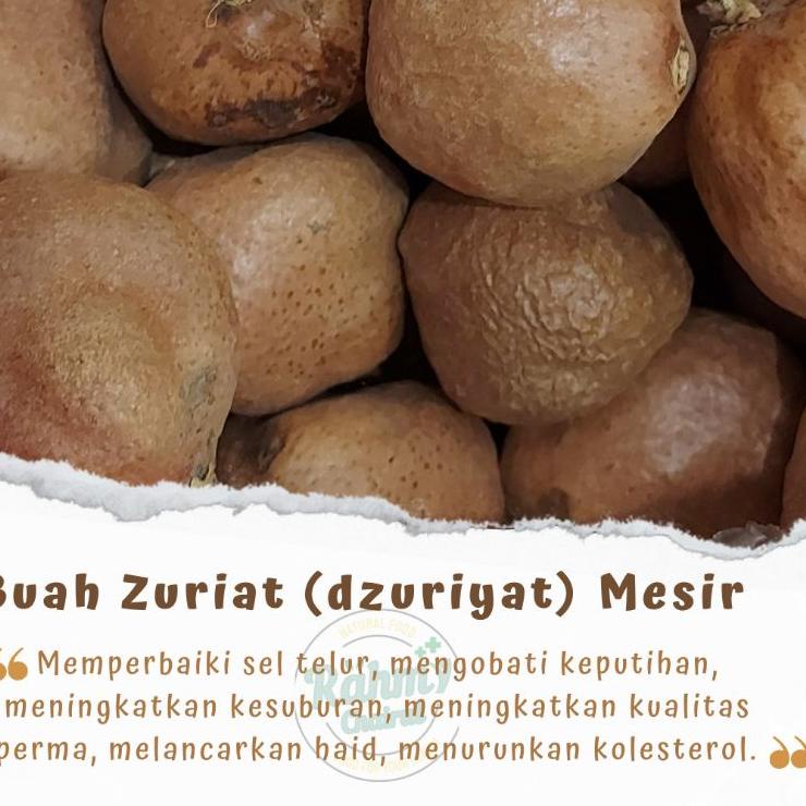 

COD MURAH 500 gr Buah Dzuriat Mesir / Buah Zuriat / Buah Doum / Buah Adam Hawa / Buah Zuriyat Promil serbuuu !
