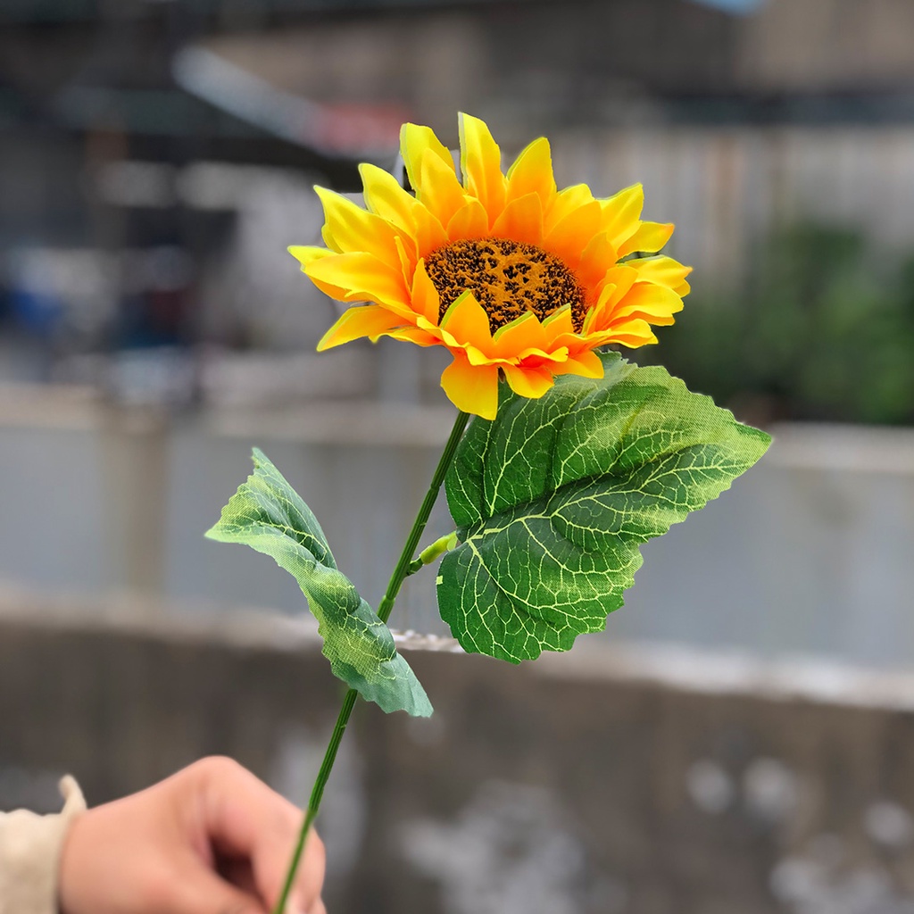 Bunga Hias Plastik Tangkai Matahari Hiasan Rumah Dekorasi Ruangan Meja Artificial Flower Satu7an PBP161