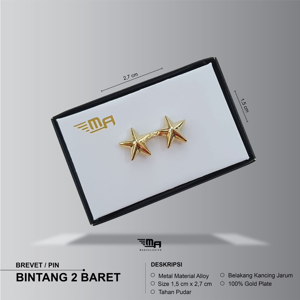 PIN BINTANG 2 BARET PDH BRIVET BREVET WING PIN BINTANG 2 BARET