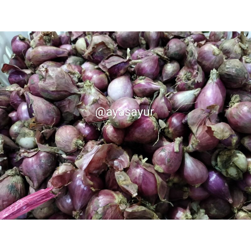 

Bawang merah