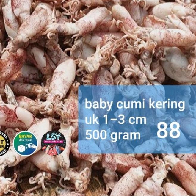 

♤ ikan asin baby cumi / cumi rebus kering 88 berat 500gram ☋