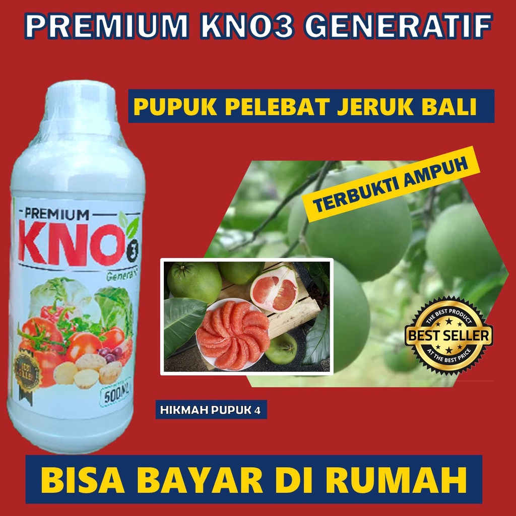 Pupuk Jeruk Bali Agar Bebuah Besar dan Super Lebat KNO3 GENERATIF - Obat Pelebat Buah Jeruk Bali - P