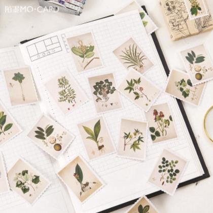 

C35 Sticker Plant Stamp 45Pcs Mini Box Stiker Motif Tanaman untuk Scrapbook / Jurnal / Diary Journaling bujo Bullet Journal Stickers Deco Hiasan CUCI GUDANG ㅊ