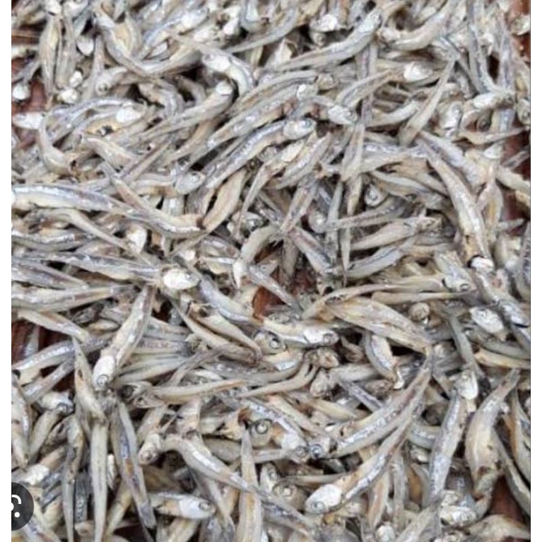 

Ikan Asin Teri Kacang Khas Sibolga / Fresh 1kg