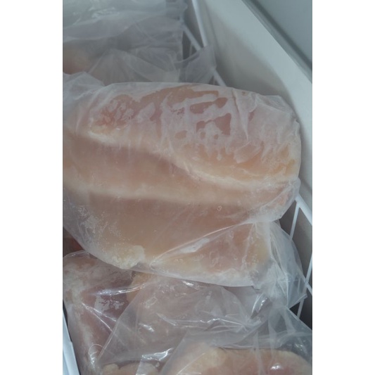 

Ikan Dori