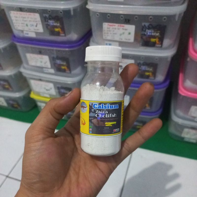 calsium leopard gecko / gudlot leopard gecko ( bisa pilih )