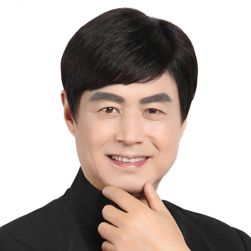Wig pria rambut pendek realistis wig tampan pria fashion alami setengah baya dan tua pria wig (pengi