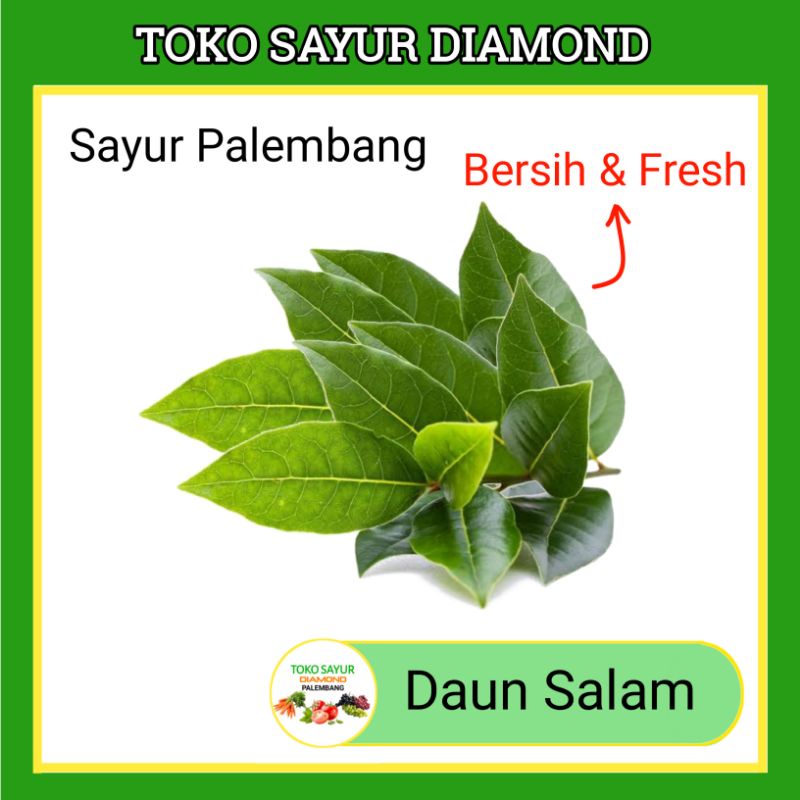 

Daun Salam Per Ikat - Sayur Segar Palembang