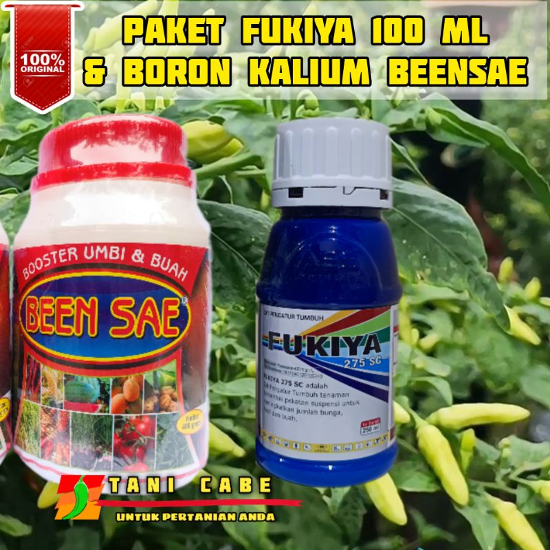 FUKIYA 275 SC 100 ml & BORON KALIUM BEENSAE