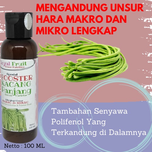 Obat Pelebat Buah Kacang Panjang / Pupuk Buah Kacang Panjang / Pupuk Pelebat Buah Buncis / Pupuk Boo