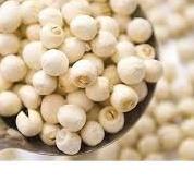 

♙ Biji Teratai Lotus Seed Lien Zi 500 gr ֍