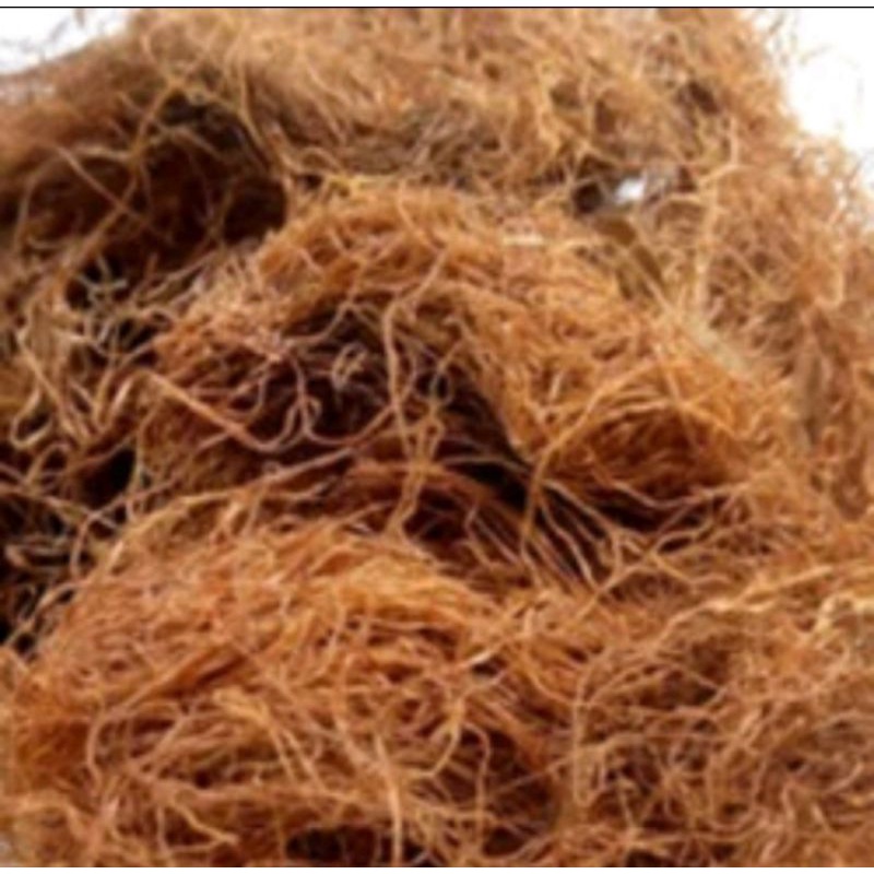 

Rambut jagung kering termurah berat 1 kg asli original