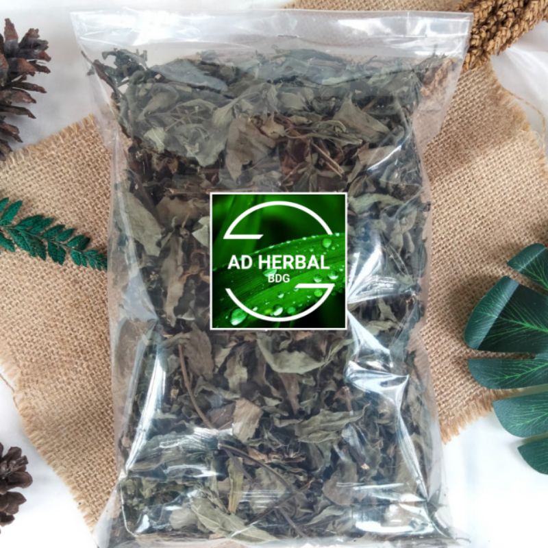 

Daun Kumis Kucing Kering Per 1 Kg Herbal Batu Ginjal