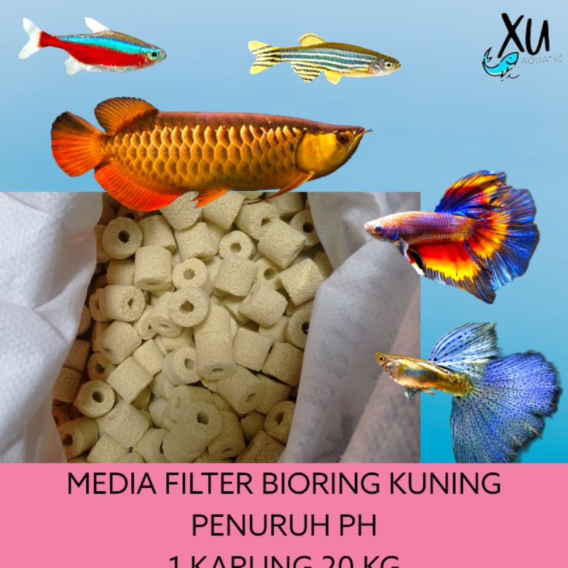 BIO RING SUPER PENURUN PH 20 KG BIORING KUNING ORIGINAL 1 KARUNG