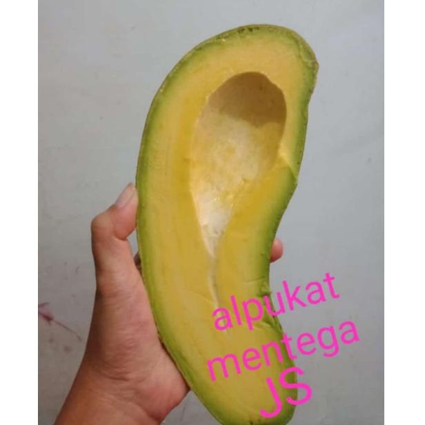 

[KODE 77] Alpukat Mentega Muria asli 100% |avocado apokat super jumbo