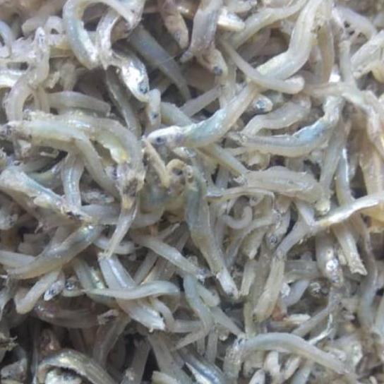 

✈ Teri buntiau tauge Medan ,berat 500 gram ✯