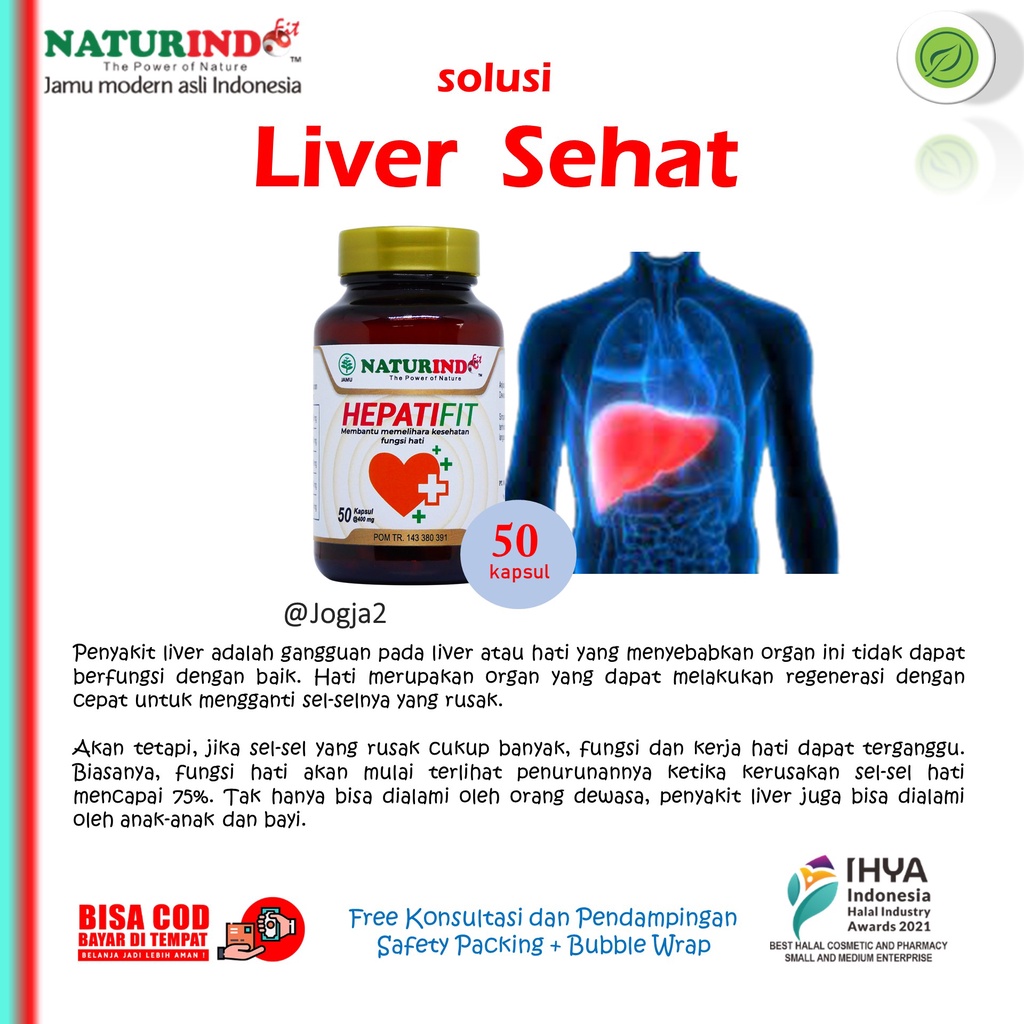 Liver Hepatitis Sirosis Sakit Liver Hati Fatty Liver Bengkak Hepatifit Naturindo