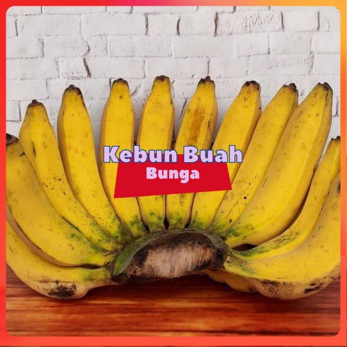 

Buah Pisang