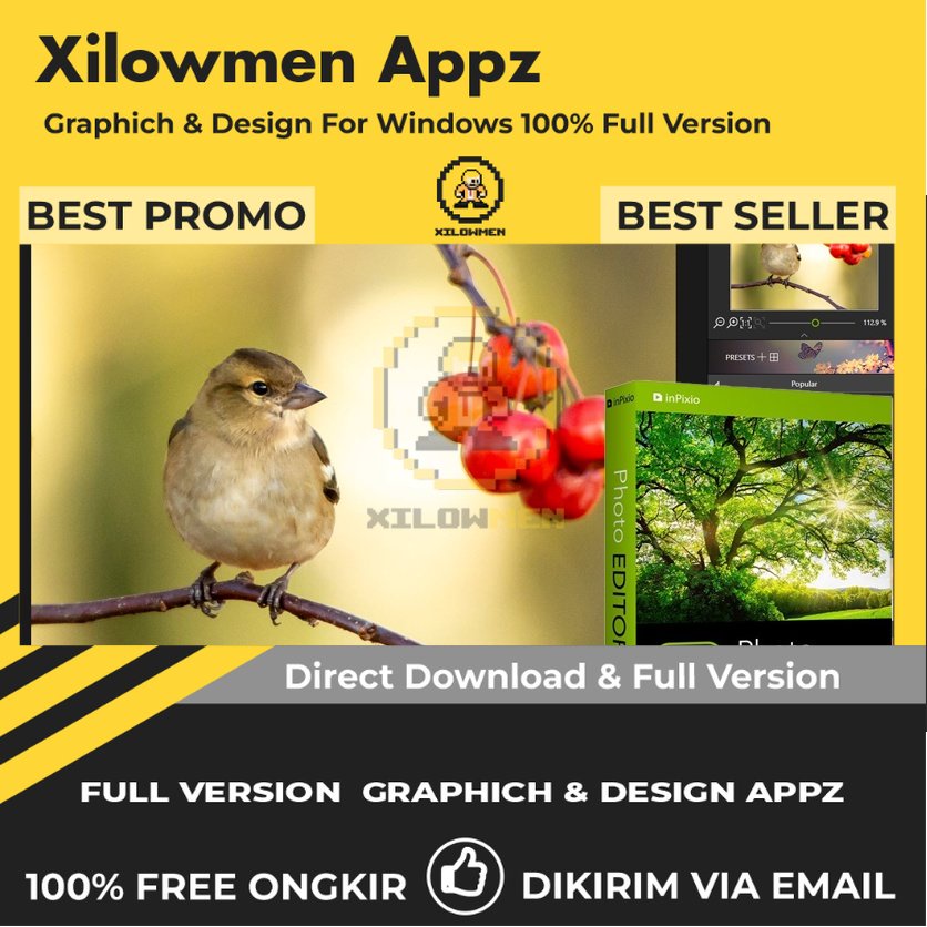 [Full Version] InPixio Photo Editor Pro Design Graphics Lifetime Win OS