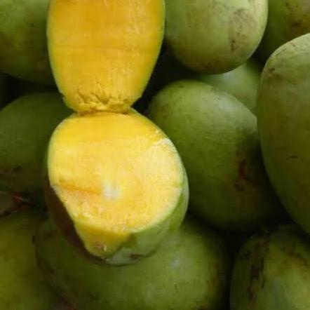 

❈ Mangga Kweni 1 Kg Segar Fresh ☎