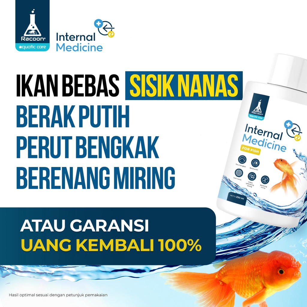 Racoon Obat Infeksi Dalam Ikan Hias / Racoon Internal Medicine For Fish