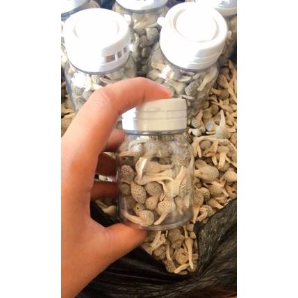 Jaman Now JAMU MPOT AYAM PUTIH// JAMU MPOT ASLI MADURA ISI 100 BUTIR// BISA KILOAN 6CA