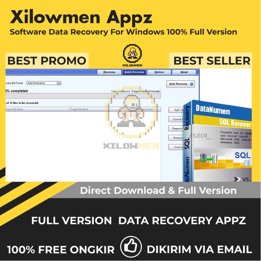 [Full Version] DataNumen SQL Recovery Pro Lifetime Data Recovery WIN OS