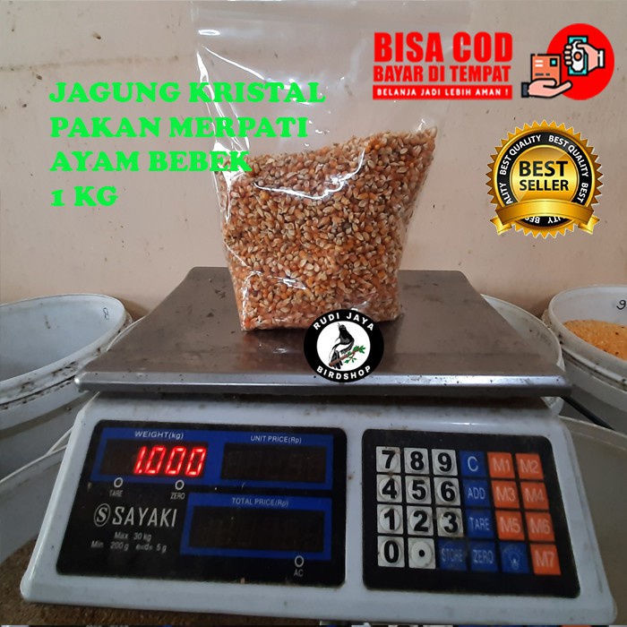 READY JAGUNG KRISTAL LANCIP 1KG PAKAN MAKANAN BURUNG MERPATI AYAM BANGKOK FILIPIN ADUAN HARIAN SEHAT