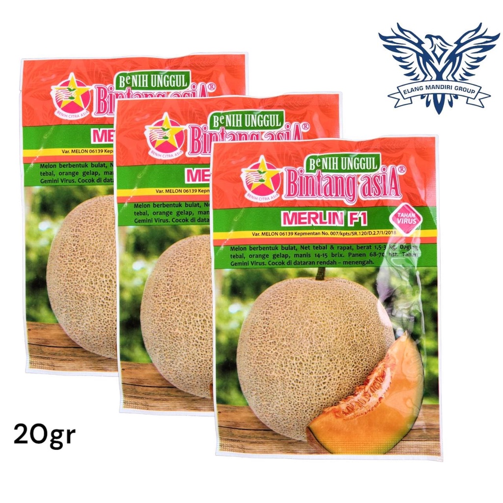 BENIH BIBIT MELON  MERLIN F1 20gr Bintang Asia 100% Original