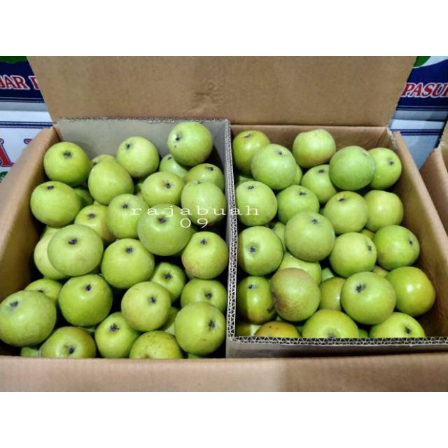 

Buah Apel Manalagi Apel Malang Buah Apel Segar 1 Kg Manis