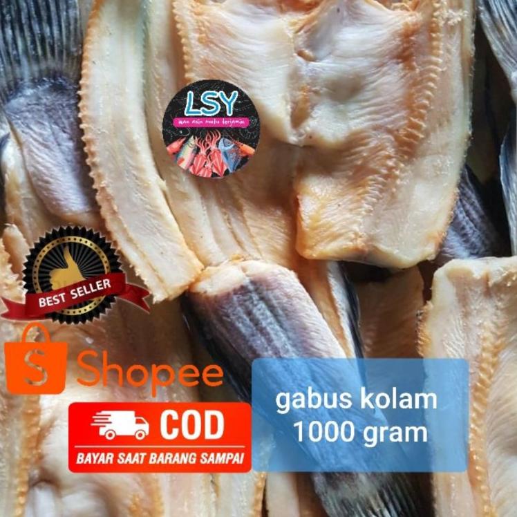 

☎ ikan asin gabus kolam size besar 1kg ♥