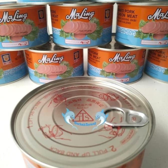 

Maling Daging Babi / Canned Pork / Ma Ling / Luncheon Meat 397gr TERLARIS