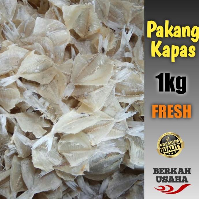 

☄ IKAN ASIN TIPIS PAKANG KAPASAN KERING 1KG ☟