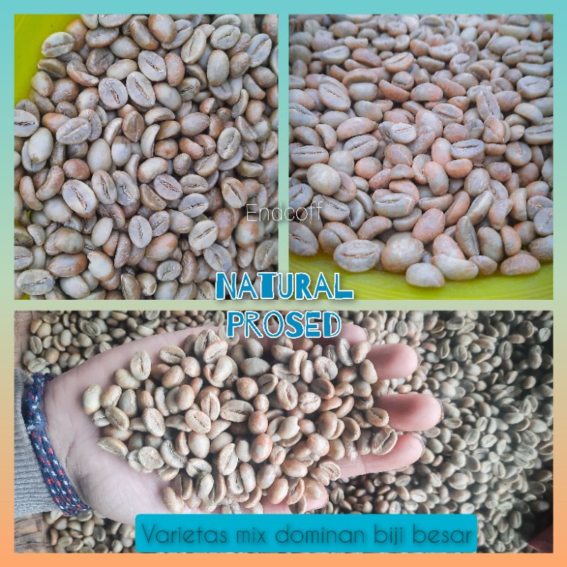 

Green Bean kopi Robusta Grade 1 Asalan > 1kg