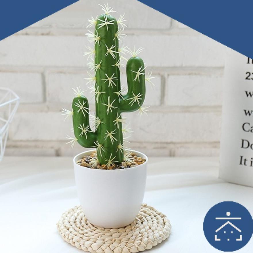 ☟ Kunataruma - Tanaman Kaktus Mini Plastik Bunga Artificial Dekorasi Lamaran Pernikahan Paket Murah 