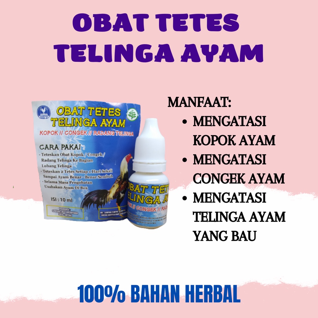 READY OBAT TETES TELINGA AYAM 1 RENTENG SAWUNG JALU OBAT TELINGA AYAM SAKIT CONGEK KOPOK RADANG BENG