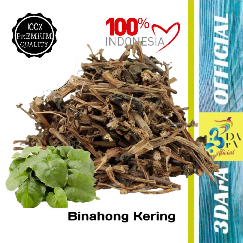 

Binahong Kering Asli Kualitas Premium