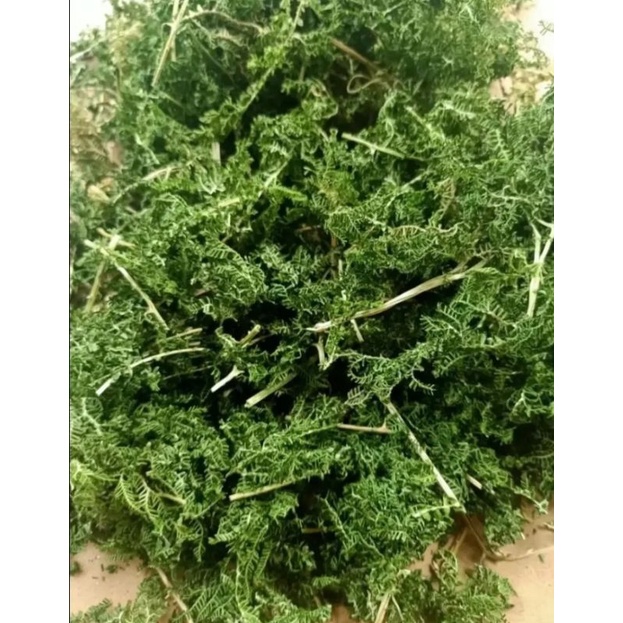 

DAUN CEKER AYAM 100 GRAM KERING