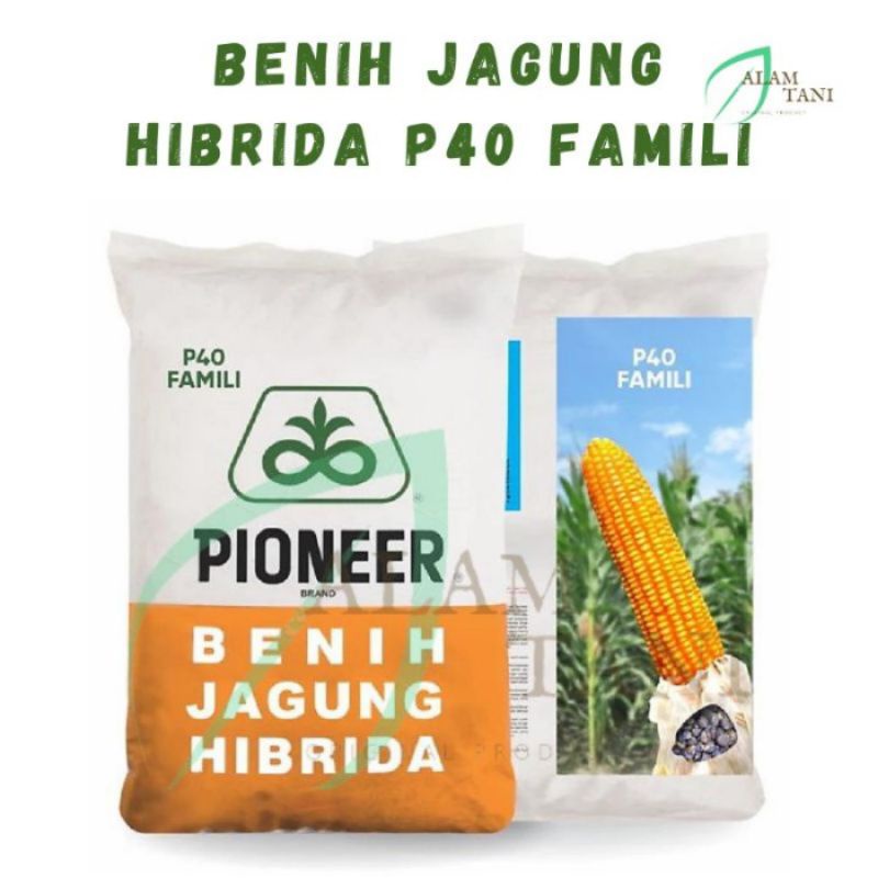 Benih Jagung Hibrida P40 Famili 1 Kg, Sertifikat LSSM No. : 01 LSSM-BTPH, Produsen benih: PT. Cortev