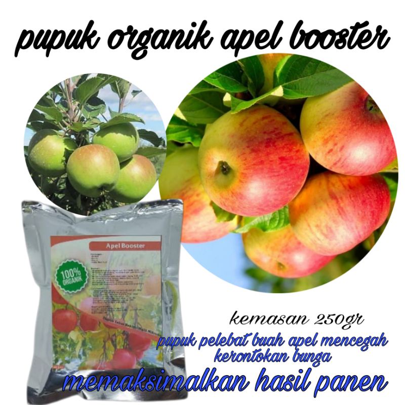 pupuk apel booster pupuk organik apel pelebat buah apel