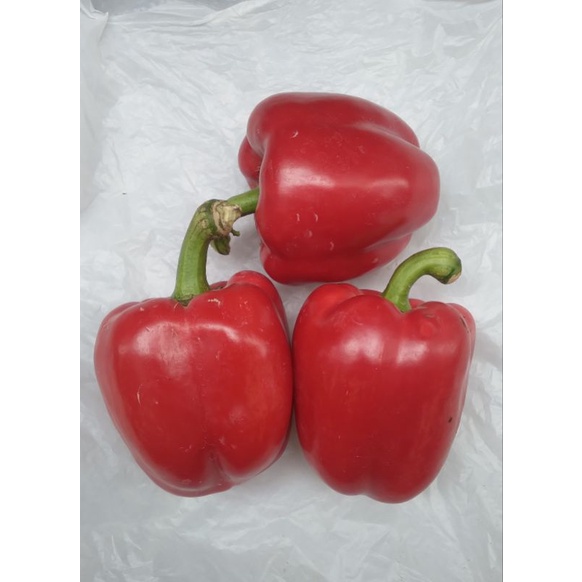 

Paprika Merah 1 Kg
