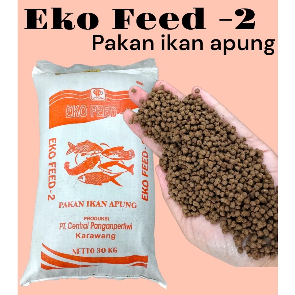 PELET APUNG EKO FEED -2 1 kg PAKAN Ikan Mas, Lele, Gurame, Bandeng